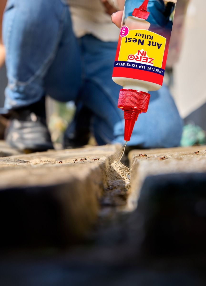 Zero In Liquid Ant Nest Killer 500ML