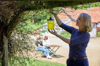 Zero In Fly Catcher Ready Baited Trap