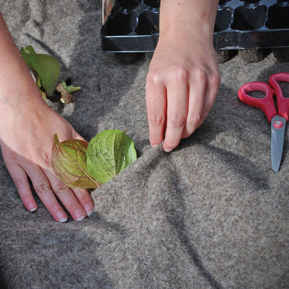 Defenders Garden Care Slugs Away