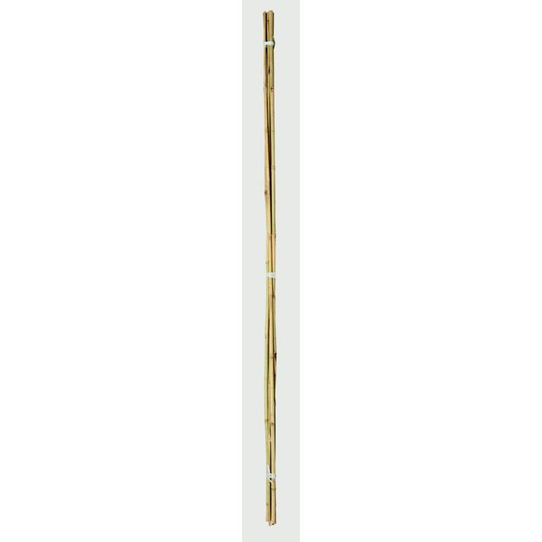 Ambassador Bamboo Canes 3' Pack 20