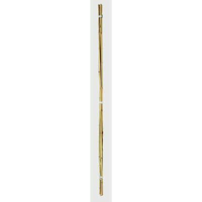 Ambassador Bamboo Canes