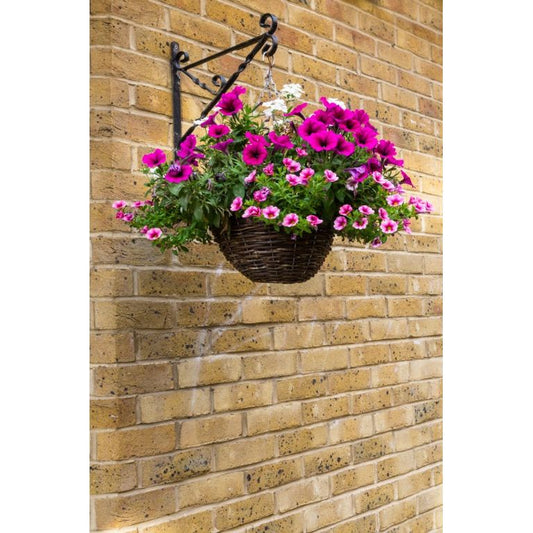 Ambassador Willow Hanging Basket 16"