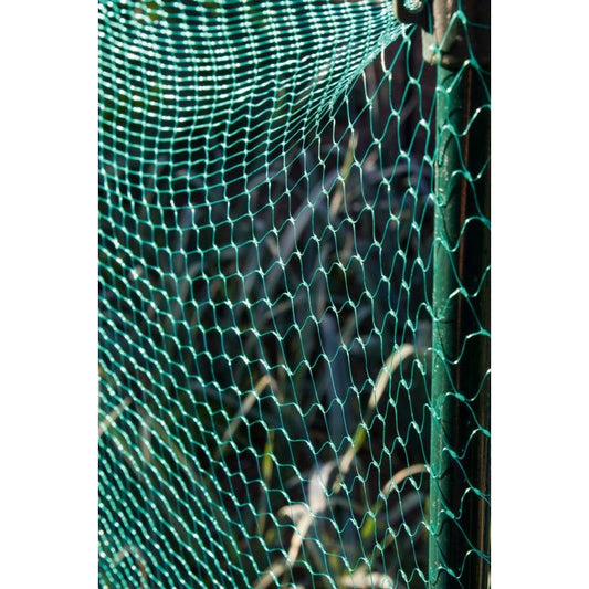 Ambassador Garden Net Green 15mm x 6 x 4m