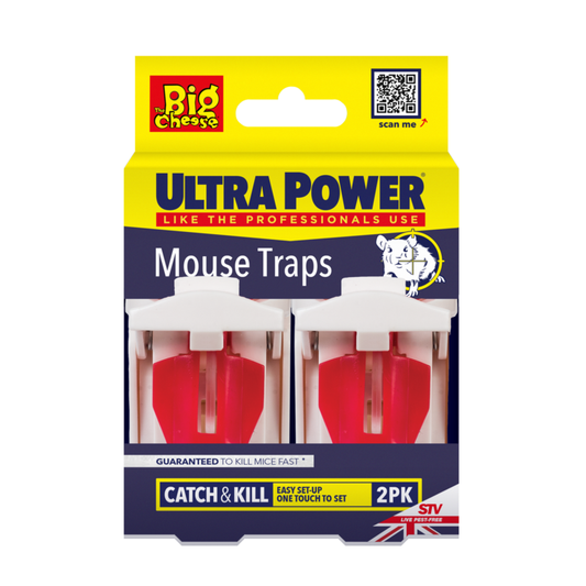 The Big Cheese Ultra Power Pièges à souris Lot de 2