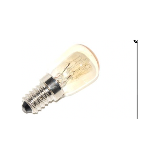 Lampes pour réfrigérateur Lyvia 10 W, culot T20-E14, lot de 2