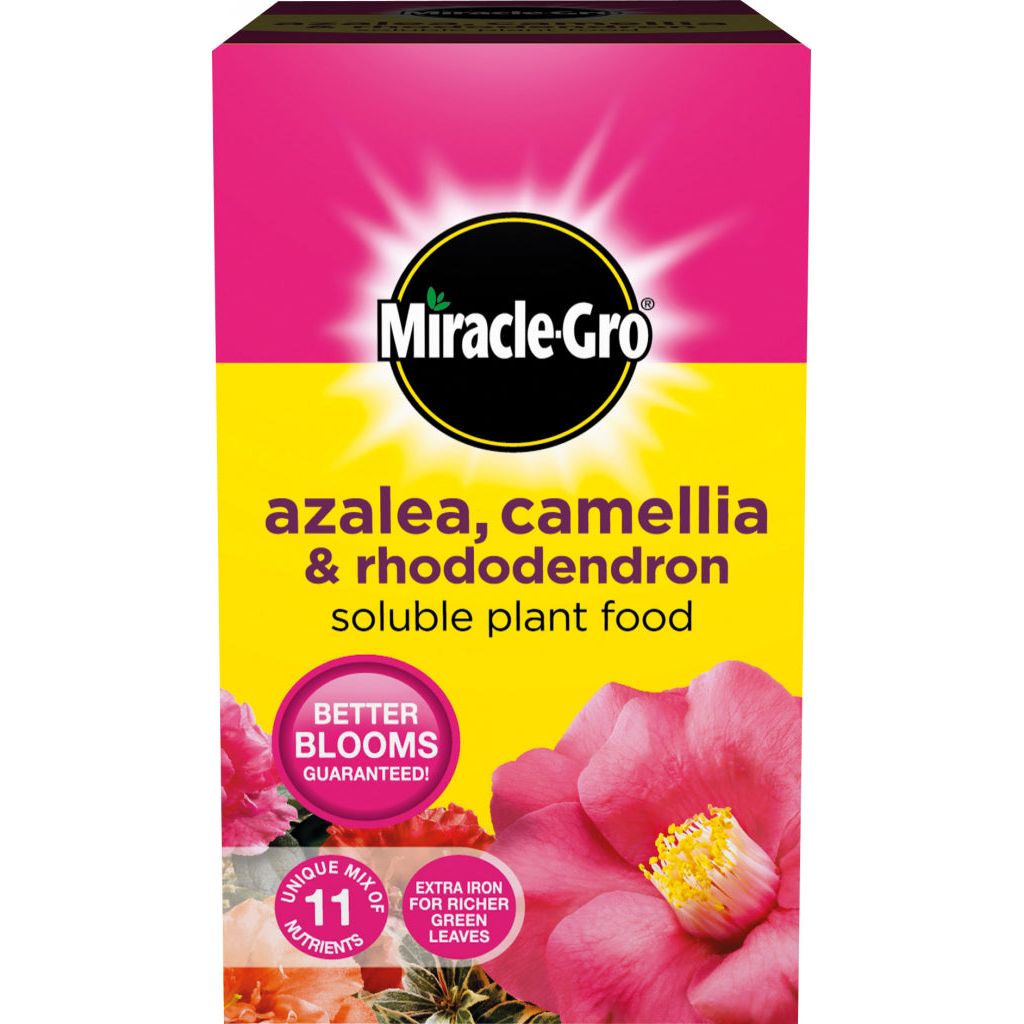 Miracle-Gro® Alimento vegetal soluble en azalea, camelia y rododendro, caja de 500 g