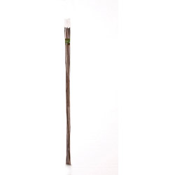 Bastones de bambú Ambassador de 8 pies, paquete de 10