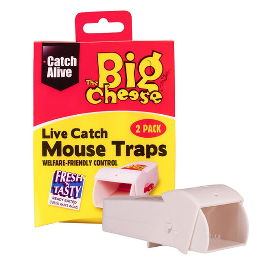 The Big Cheese Live Catch RTU Piège à souris Lot de 2