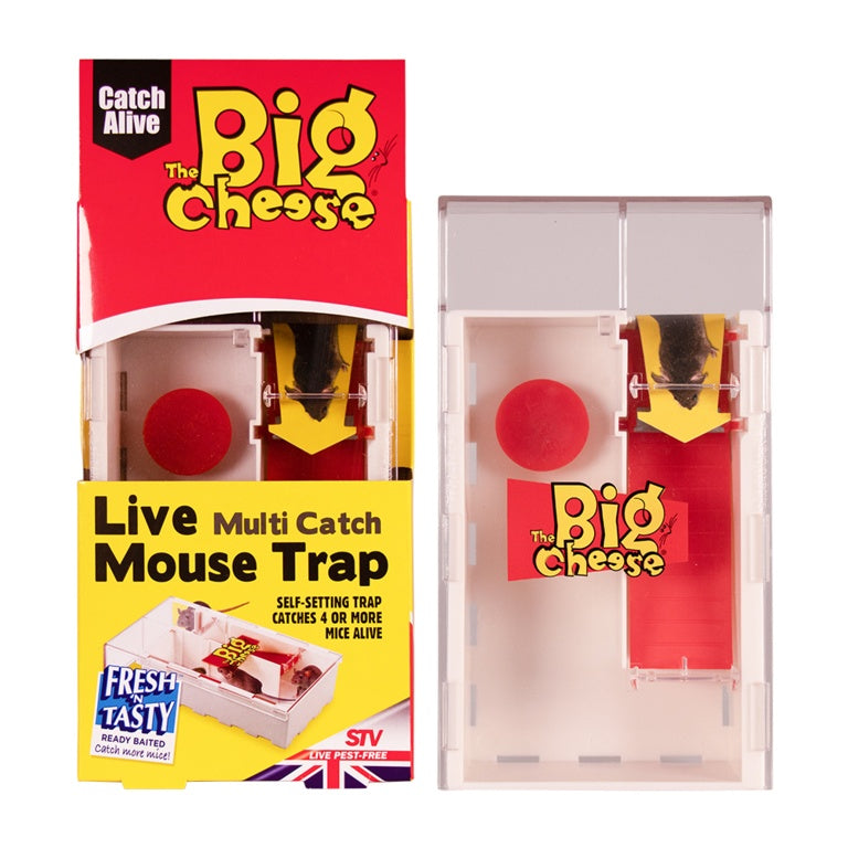The Big Cheese Multi-Catch Mouse Trap