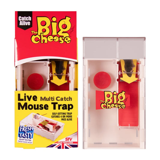 La trampa para ratones de captura múltiple Big Cheese