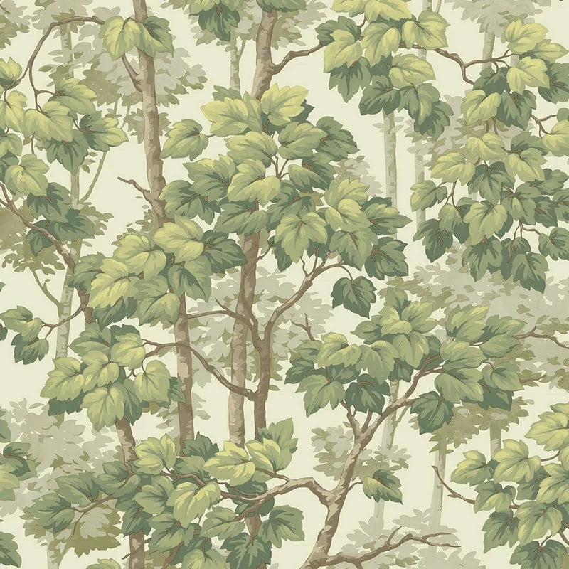 Belgravia Rivington Trees Wallpaper